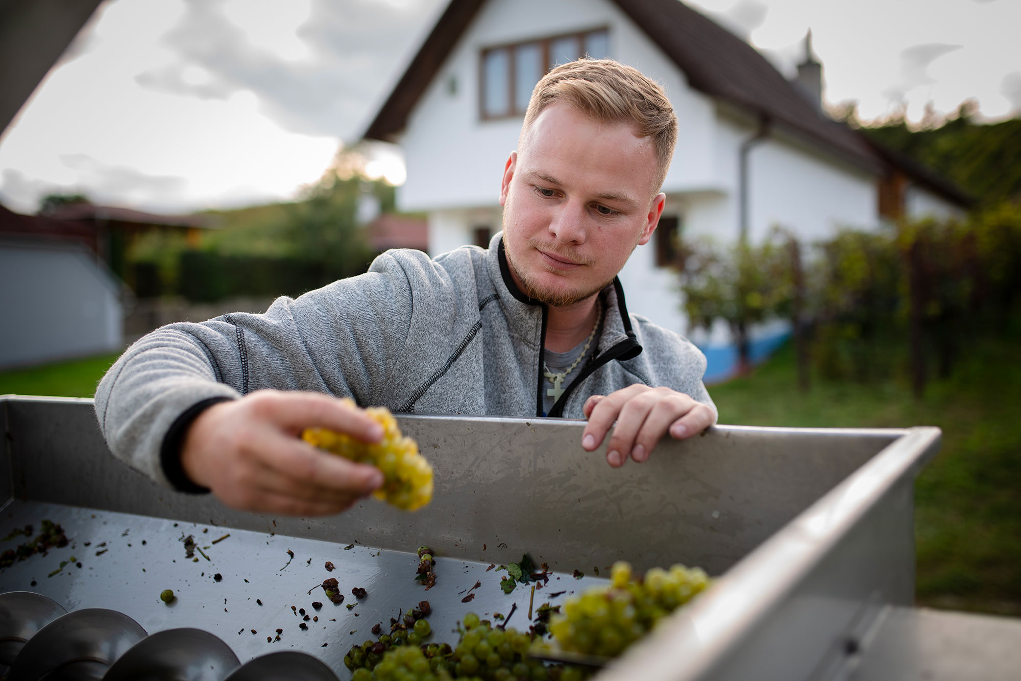 Vinařství Petr Bíza, Sklep u Zdeny